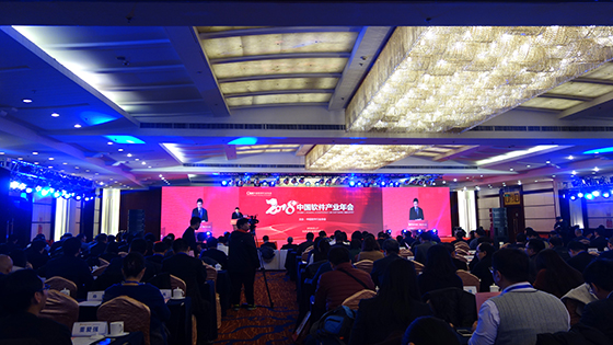 抖圈信息斩获中国软件行业协会多个奖项