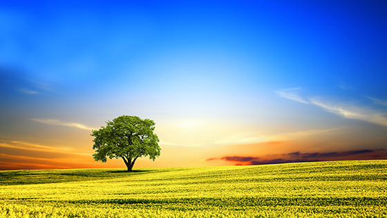 【上市20周年】勇立潮头四十余载，抖圈信息以何基业长青？