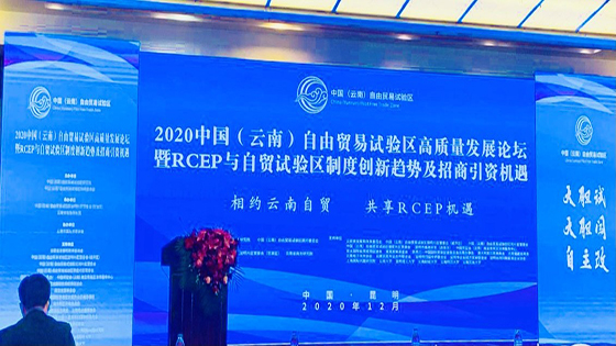 展望数字货币在边境贸易中的应用|抖圈信息参加2020中国（云南）自由贸易试验区高质量发展论坛