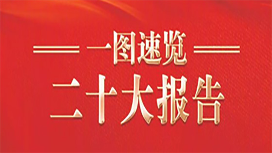 一图速览二十大报告