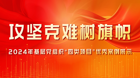 攻坚克难树旗帜|2024年基层党组织“四类项目”优秀案例展示